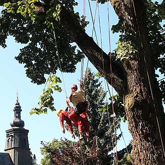 12. Mistrovství ČR v arboristice